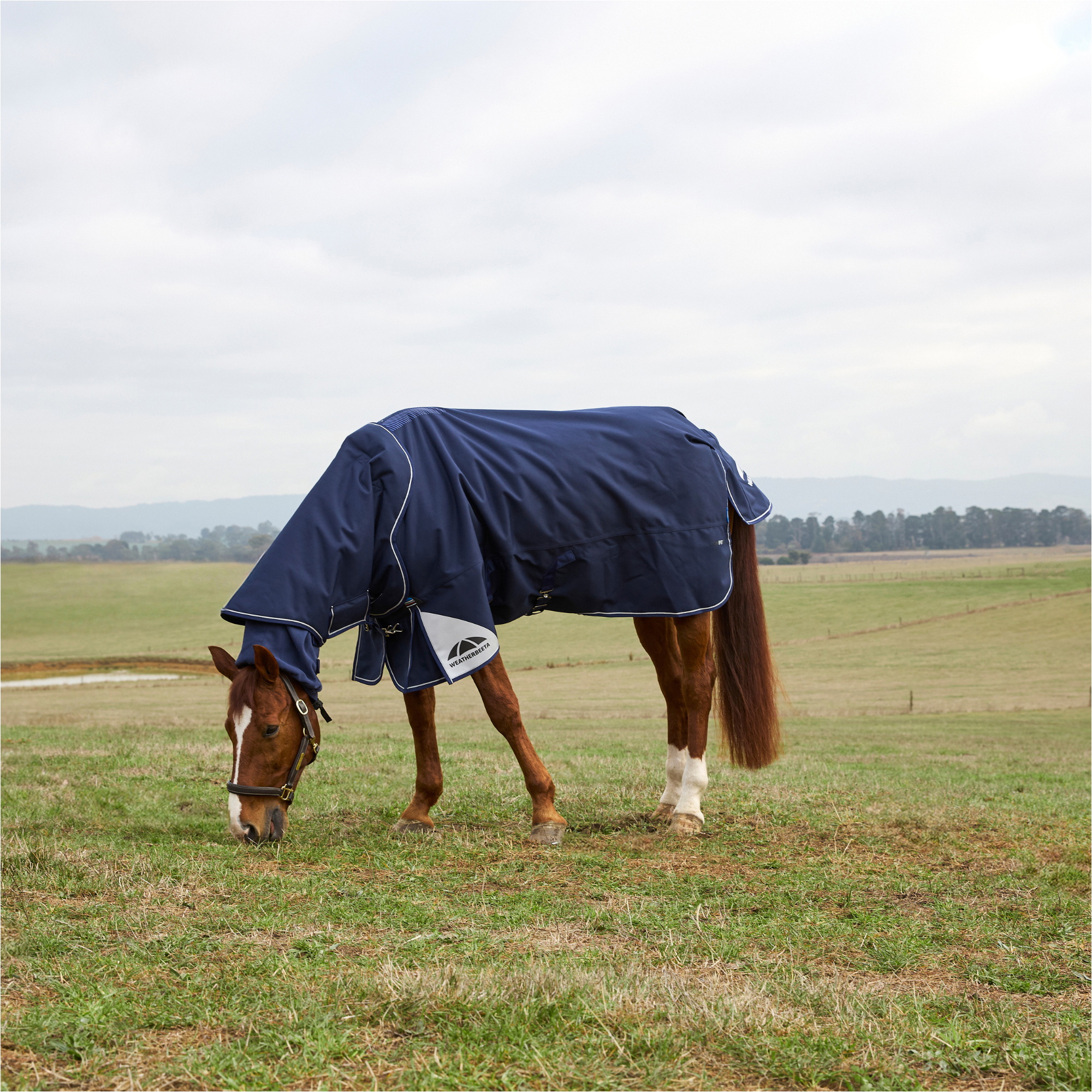 2025 Weatherbeeta Comfitec Ultra Turnout Detach-A-Neck 1028772 - Navy